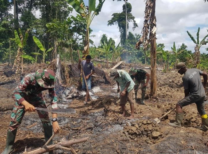 SUKSESKAN KETAHANAN PANGAN, SATGAS YONIF 143/TWEJ BUKA LAHAN KOSONG DI PERBATASAN PAPUA SUKSESKAN KETAHANAN PANGAN, SATGAS YONIF 143/TWEJ BUKA LAHAN KOSONG DI PERBATASAN PAPUA