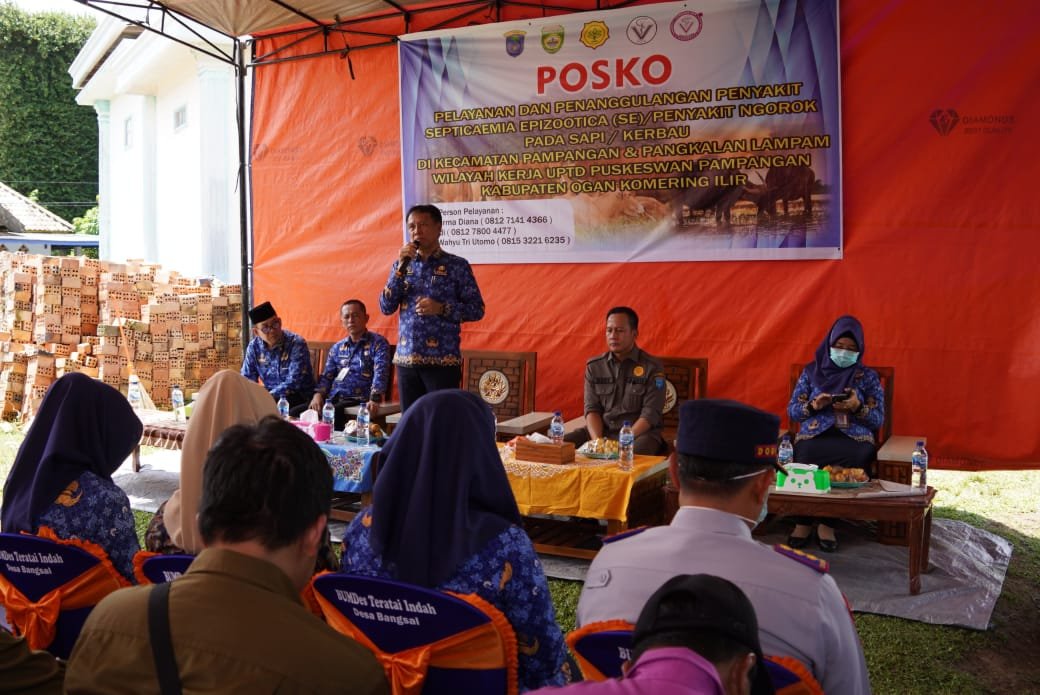 Pastikan Penanganan Wabah Penyakit Kerbau, Pj Bupati Asmar Pantau Langsung di Lapangan Pastikan Penanganan Wabah Penyakit Kerbau, Pj Bupati Asmar Pantau Langsung di Lapangan